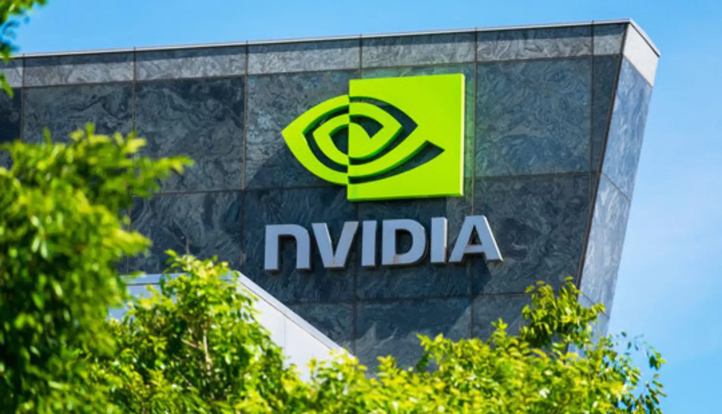  📉 Michael Burry Bets Big Against Nvidia and Palantir — $1.1B in Put Options Revealed